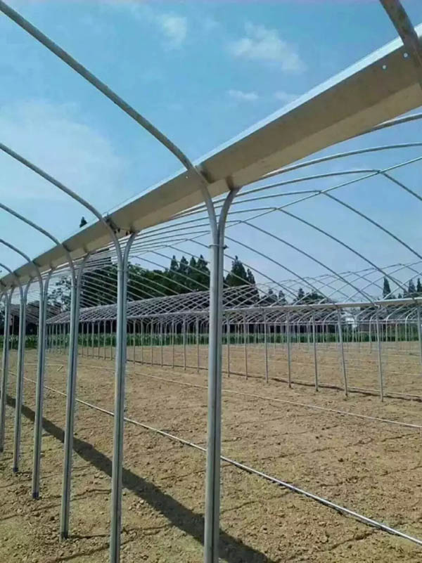 延吉市连体大棚